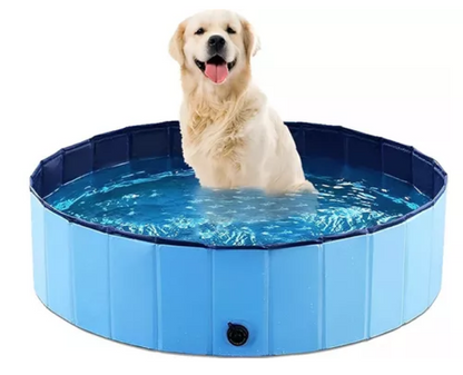 Piscina plegable para mascotas