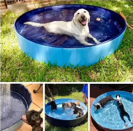 Piscina plegable para mascotas